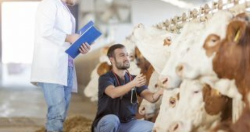 Auxiliar em Saúde Animal - Senar MS